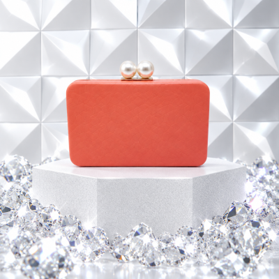 CARINA- Bolso Fiesta Mujer, Clutch Bolso de Noche, Boda Cartera de Mano Cadena para Ceremonia